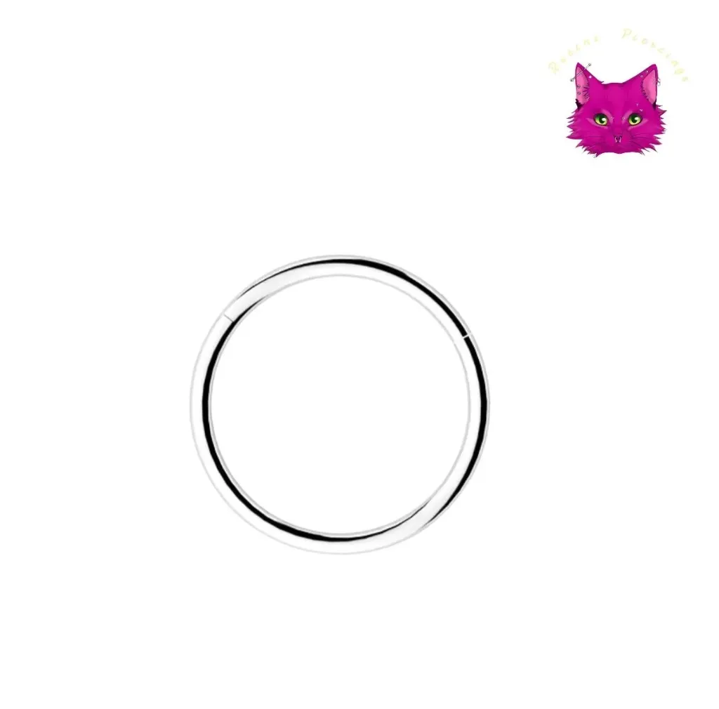 [PJ-CH-SS-S-16-6-A-2-N] Plain Clicker Hoops—Stainless Steel (6 mm, Silver)