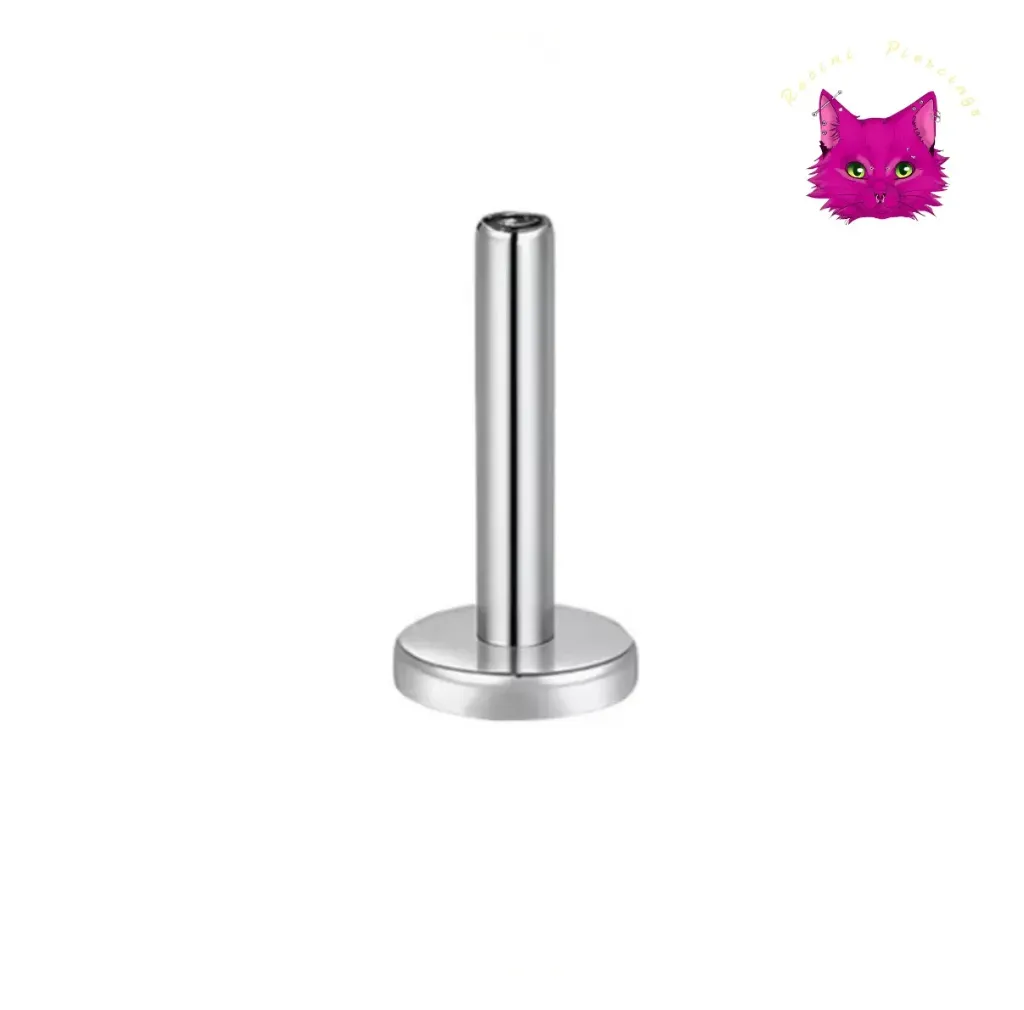 [PJ-EX-TT-S-16-6-E-1-N] Titanium Rod-Titanium (সিলভার, ৬ মিমি)