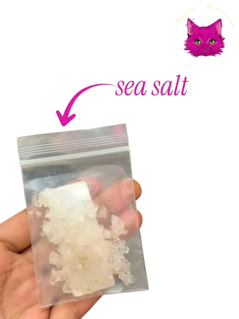 [AP-1] Sea Salt Sachet
